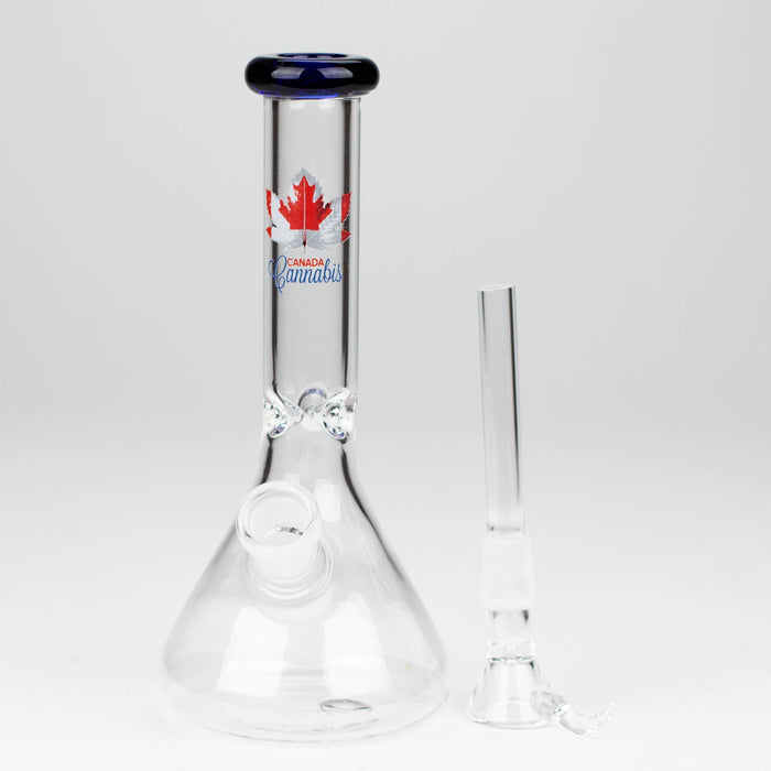 7" Zoom Glass Bong with Bowl [AK050]