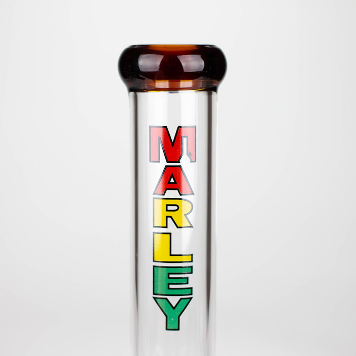 Marley | 11" 5mm Glass Beaker Bong [3825]