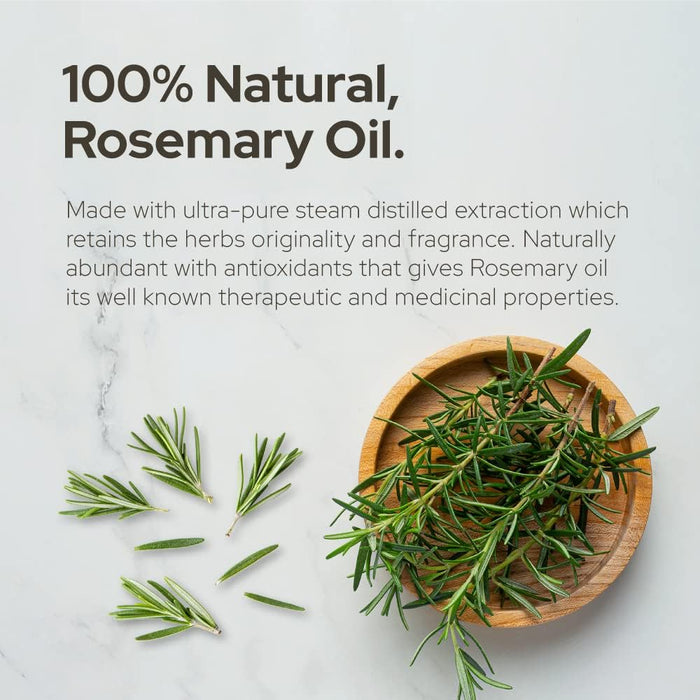 Plant of Life | Rosemary Essential Oil for Aromatherapy Hair, Skin, & Nails (2 oz / 60mL)