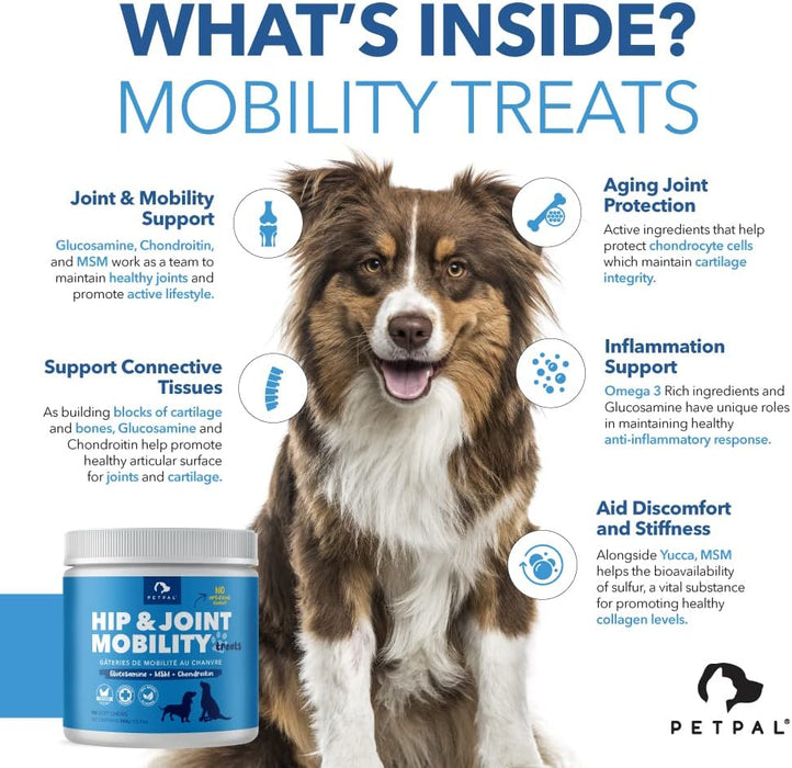 PetPal | Hip & Joint Mobility - soft Chews with Chondroitin & MSM